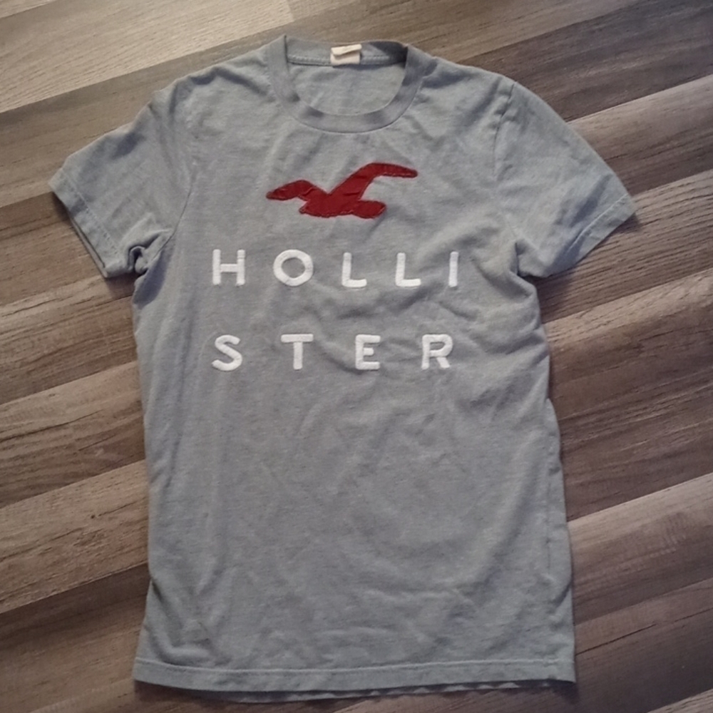 Hollister T-shirt embroidered size small grey